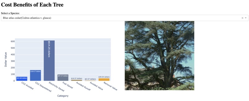 Tree Datalize 1st Viz